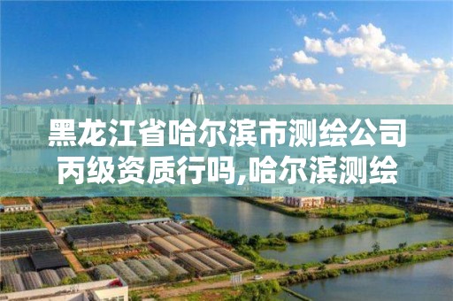 黑龙江省哈尔滨市测绘公司丙级资质行吗,哈尔滨测绘内业招聘