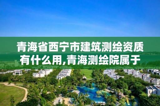 青海省西宁市建筑测绘资质有什么用,青海测绘院属于什么单位