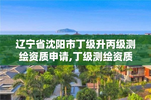 辽宁省沈阳市丁级升丙级测绘资质申请,丁级测绘资质人员要求。