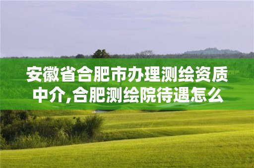 安徽省合肥市办理测绘资质中介,合肥测绘院待遇怎么样