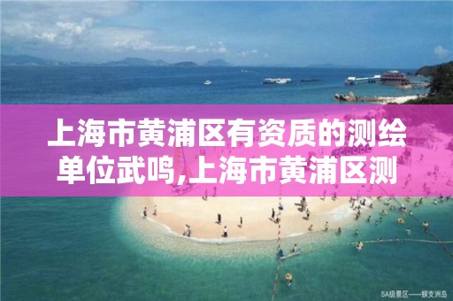 上海市黄浦区有资质的测绘单位武鸣,上海市黄浦区测绘中心。