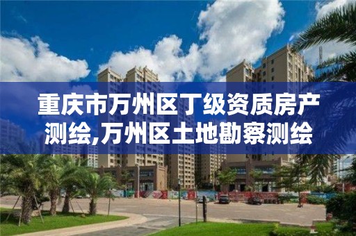 重庆市万州区丁级资质房产测绘,万州区土地勘察测绘队