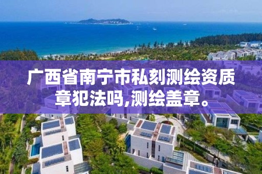 广西省南宁市私刻测绘资质章犯法吗,测绘盖章。