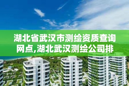 湖北省武汉市测绘资质查询网点,湖北武汉测绘公司排行榜