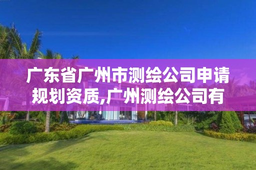 广东省广州市测绘公司申请规划资质,广州测绘公司有哪些