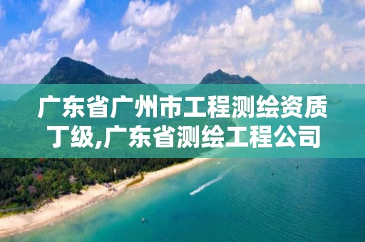 广东省广州市工程测绘资质丁级,广东省测绘工程公司中标项目