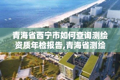 青海省西宁市如何查询测绘资质年检报告,青海省测绘质量监督检验中心