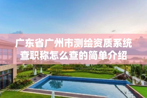 广东省广州市测绘资质系统查职称怎么查的简单介绍