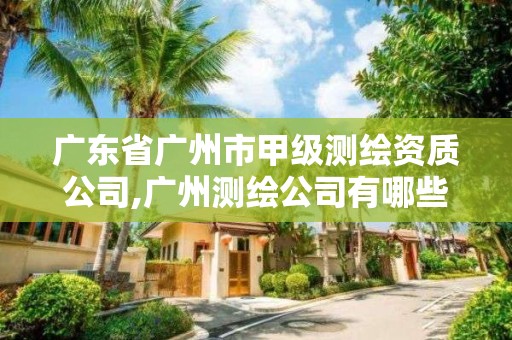 广东省广州市甲级测绘资质公司,广州测绘公司有哪些