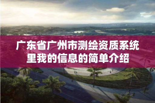 广东省广州市测绘资质系统里我的信息的简单介绍