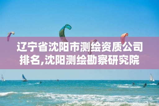 辽宁省沈阳市测绘资质公司排名,沈阳测绘勘察研究院有限公司