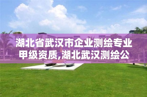 湖北省武汉市企业测绘专业甲级资质,湖北武汉测绘公司排行榜