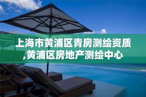 上海市黄浦区青房测绘资质,黄浦区房地产测绘中心