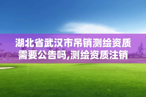 湖北省武汉市吊销测绘资质需要公告吗,测绘资质注销流程。