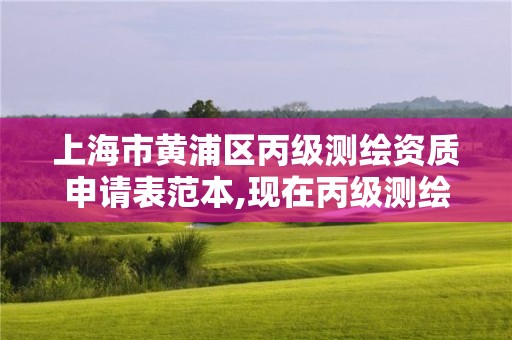 上海市黄浦区丙级测绘资质申请表范本,现在丙级测绘资质办理需要多少钱。