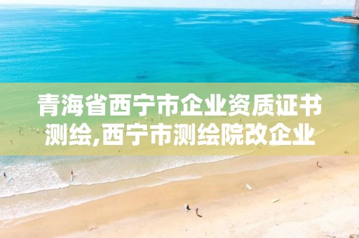 青海省西宁市企业资质证书测绘,西宁市测绘院改企业。