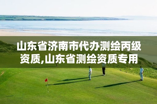 山东省济南市代办测绘丙级资质,山东省测绘资质专用章 丁级 山东省济南市代办测绘丙级资质,山东省测绘资质专用章 丁级