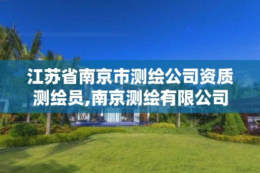 江苏省南京市测绘公司资质测绘员,南京测绘有限公司