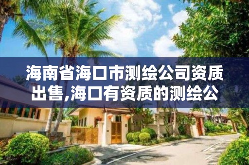 海南省海口市测绘公司资质出售,海口有资质的测绘公司