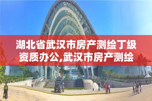 湖北省武汉市房产测绘丁级资质办公,武汉市房产测绘中心简介