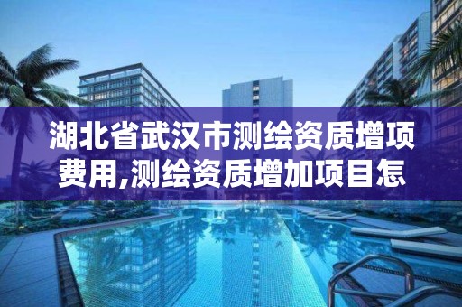 湖北省武汉市测绘资质增项费用,测绘资质增加项目怎么申请