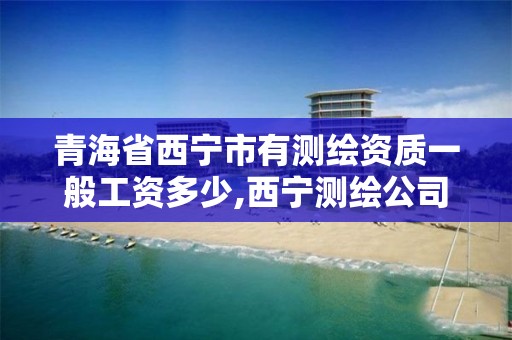 青海省西宁市有测绘资质一般工资多少,西宁测绘公司。