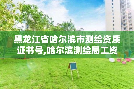 黑龙江省哈尔滨市测绘资质证书号,哈尔滨测绘局工资怎么样。