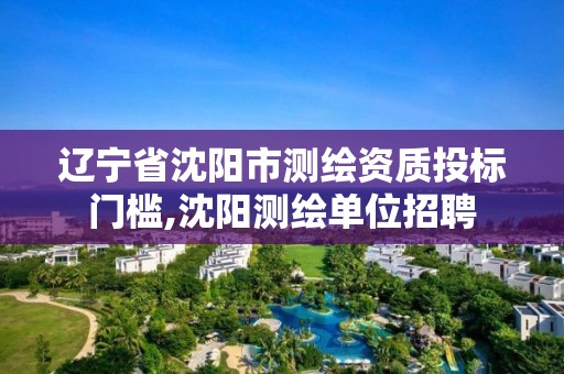 辽宁省沈阳市测绘资质投标门槛,沈阳测绘单位招聘