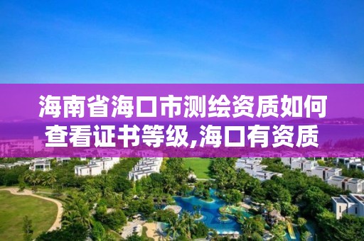 海南省海口市测绘资质如何查看证书等级,海口有资质的测绘公司