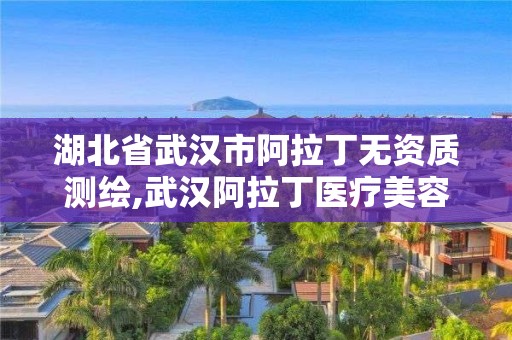 湖北省武汉市阿拉丁无资质测绘,武汉阿拉丁医疗美容。