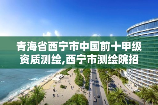 青海省西宁市中国前十甲级资质测绘,西宁市测绘院招聘公示。