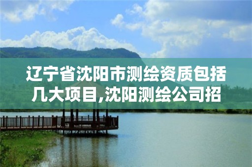 辽宁省沈阳市测绘资质包括几大项目,沈阳测绘公司招聘信息最新招聘。