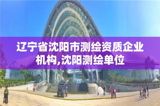 辽宁省沈阳市测绘资质企业机构,沈阳测绘单位