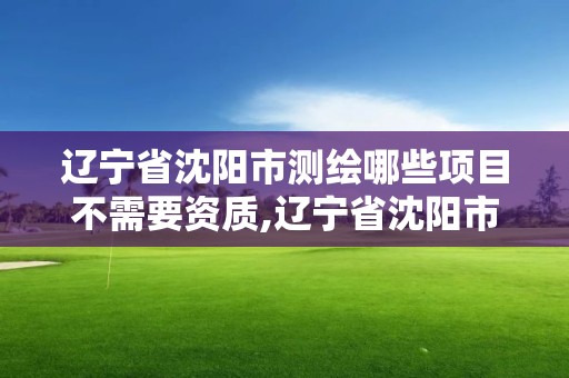 辽宁省沈阳市测绘哪些项目不需要资质,辽宁省沈阳市测绘哪些项目不需要资质的。