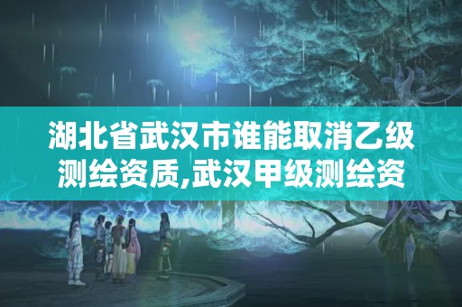 湖北省武汉市谁能取消乙级测绘资质,武汉甲级测绘资质名录。