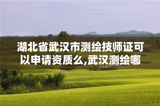 湖北省武汉市测绘技师证可以申请资质么,武汉测绘哪些单位比较好。