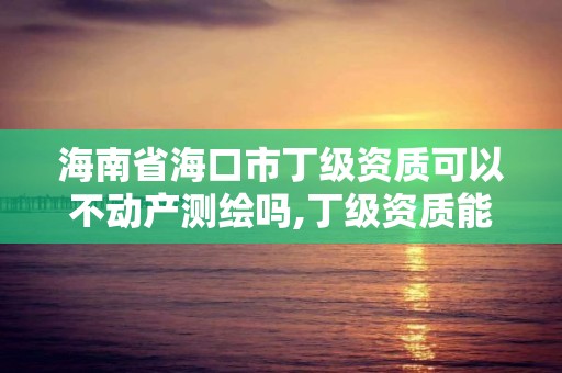 海南省海口市丁级资质可以不动产测绘吗,丁级资质能测多大面积的房产。