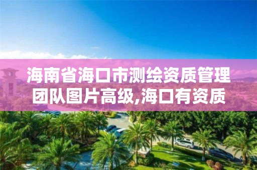 海南省海口市测绘资质管理团队图片高级,海口有资质的测绘公司