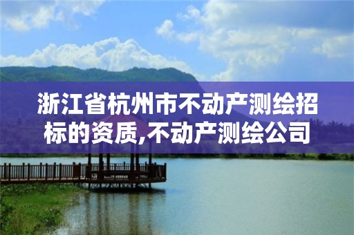 浙江省杭州市不动产测绘招标的资质,不动产测绘公司。