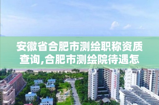 安徽省合肥市测绘职称资质查询,合肥市测绘院待遇怎么样