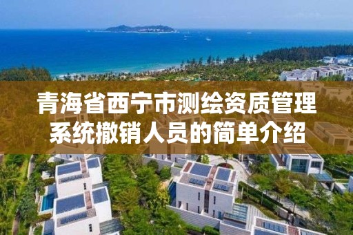 青海省西宁市测绘资质管理系统撤销人员的简单介绍