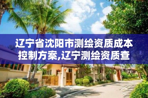 辽宁省沈阳市测绘资质成本控制方案,辽宁测绘资质查询。