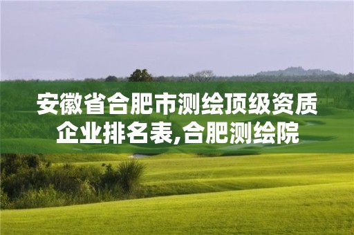 安徽省合肥市测绘顶级资质企业排名表,合肥测绘院