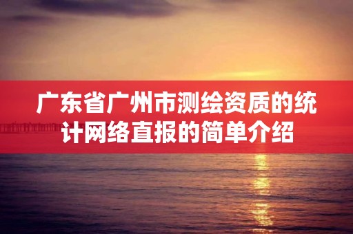 广东省广州市测绘资质的统计网络直报的简单介绍