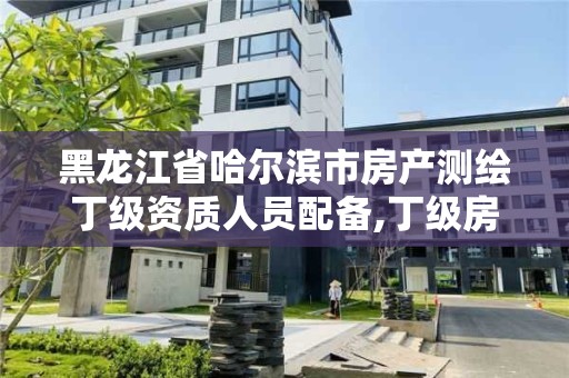 黑龙江省哈尔滨市房产测绘丁级资质人员配备,丁级房产测绘资质能测绘最大面积。