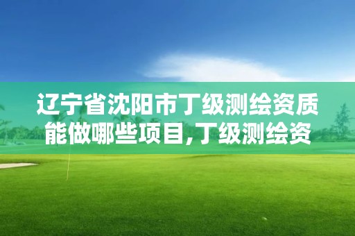 辽宁省沈阳市丁级测绘资质能做哪些项目,丁级测绘资质要求。