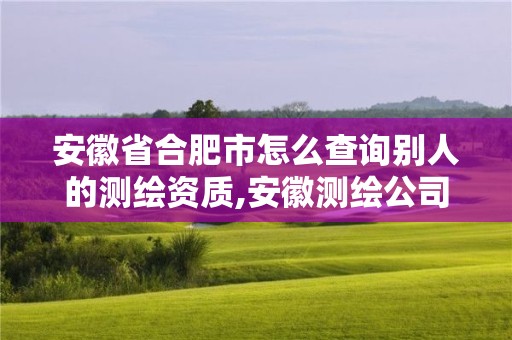 安徽省合肥市怎么查询别人的测绘资质,安徽测绘公司名录