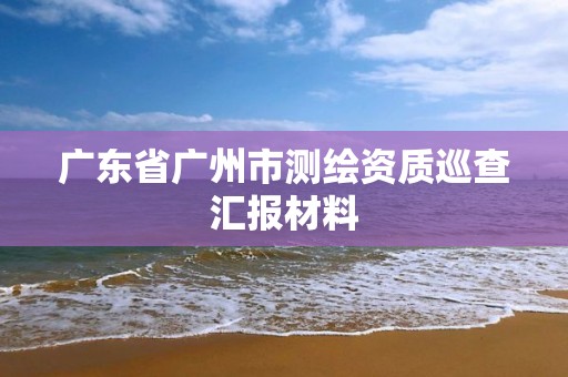 广东省广州市测绘资质巡查汇报材料