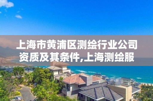 上海市黄浦区测绘行业公司资质及其条件,上海测绘服务中心。