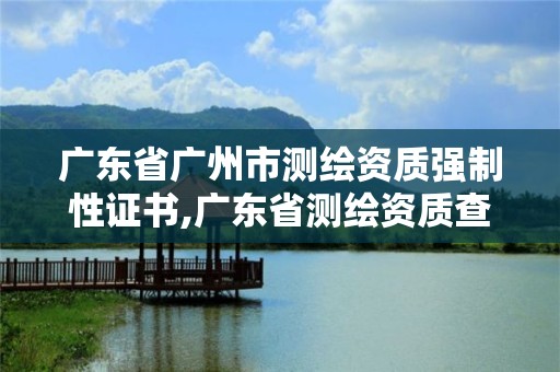 广东省广州市测绘资质强制性证书,广东省测绘资质查询。